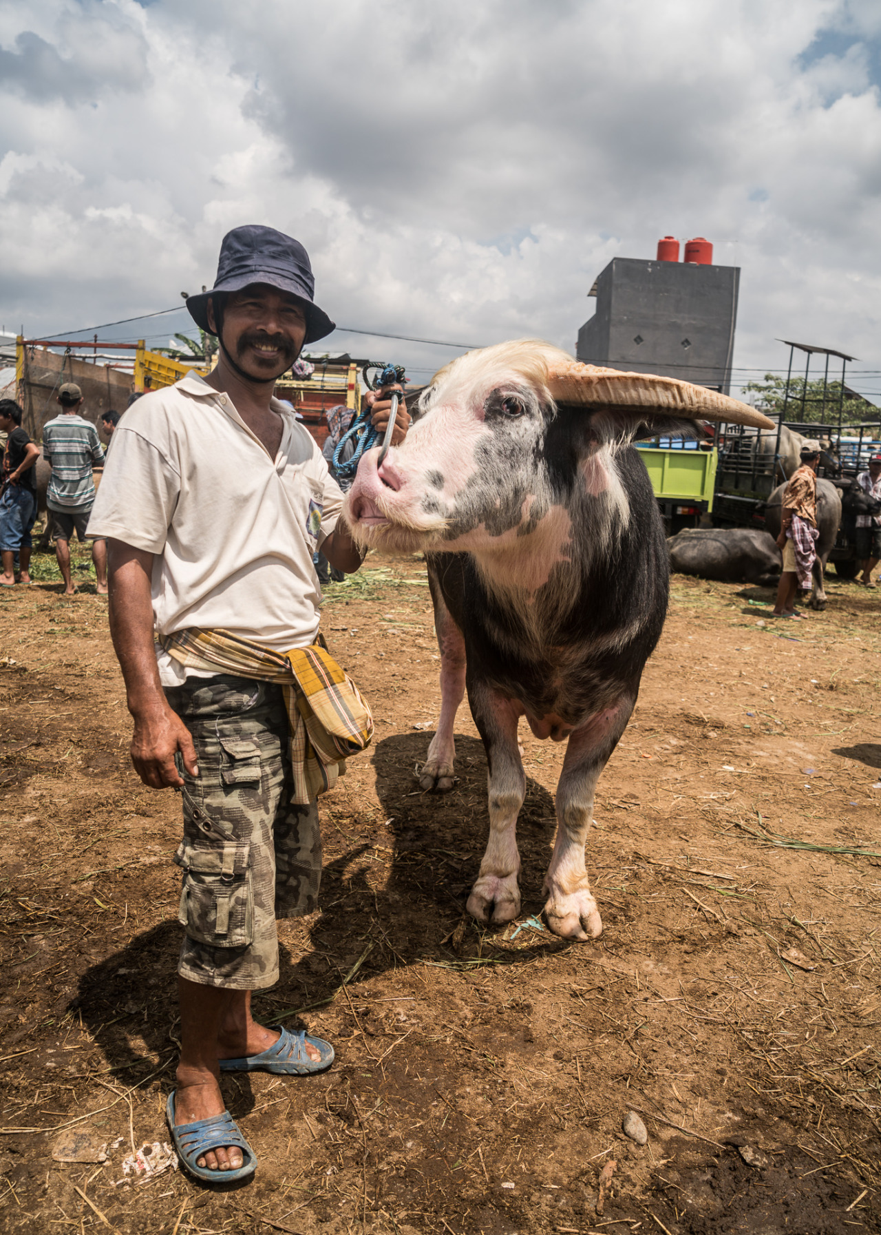Dieser Büffel ist einer der superteuren!