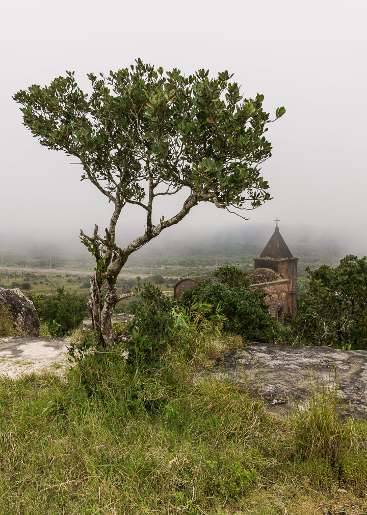 Verlassene Kirche der Franzosen (mit Baum)