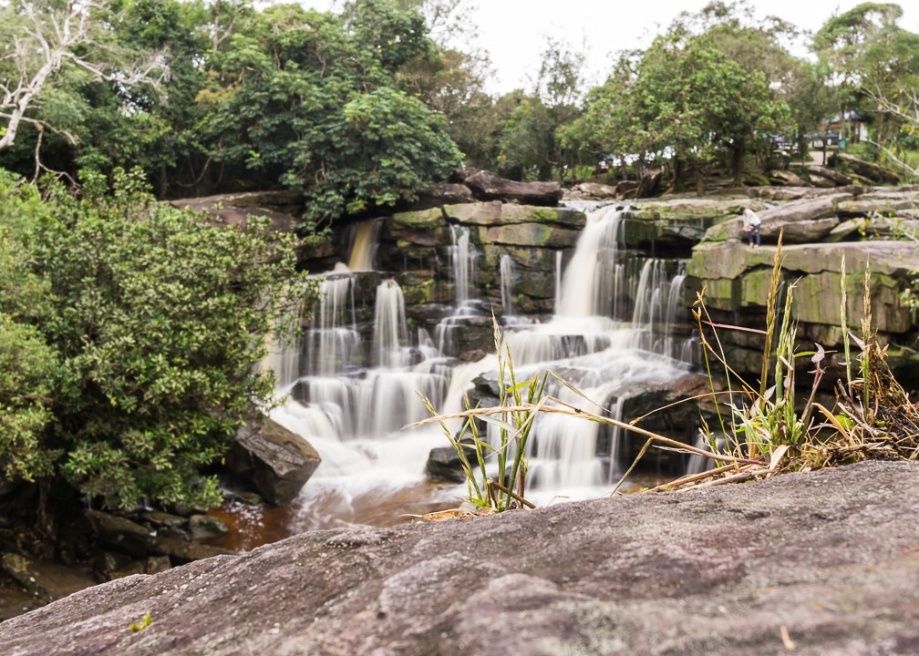 Genug mit dem Wasserfall. Hier ein Büschel Gras