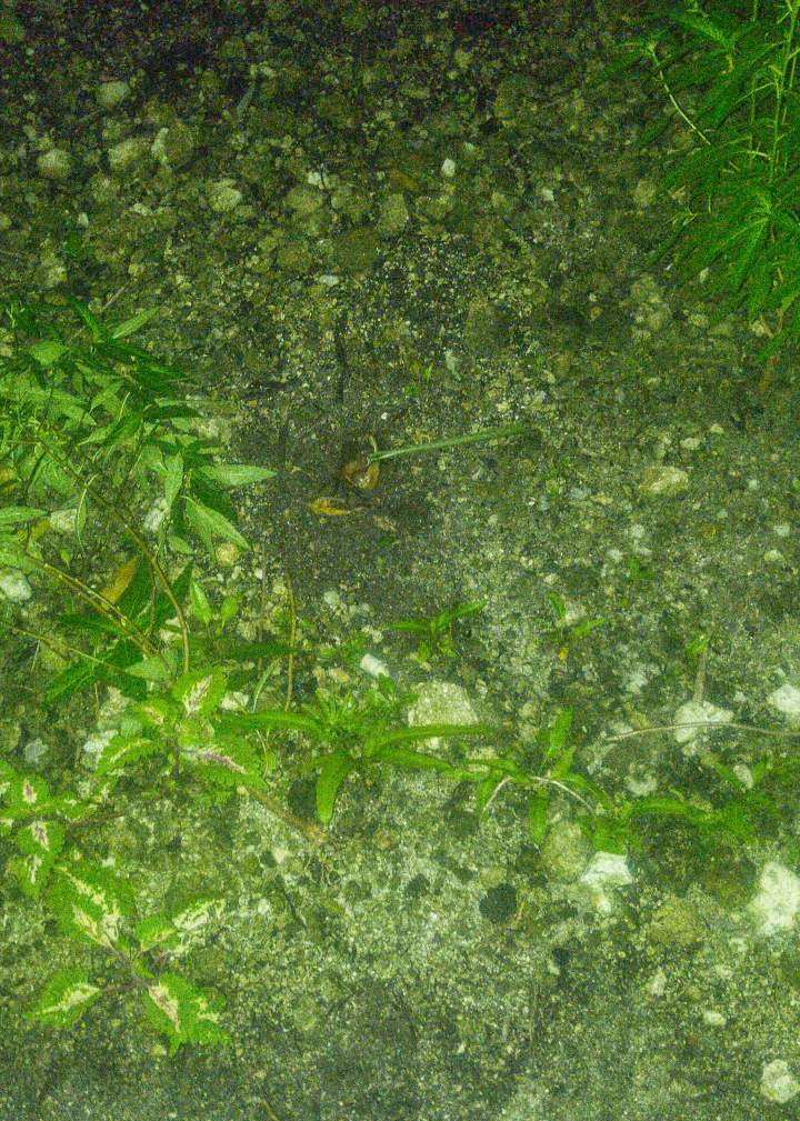 In der Nacht hörten wir mal ein seltsames Knuspern. Unser 20cm großer Nachbar hatte beschlossen, sich einen Mitternachtssnack zu gönnen