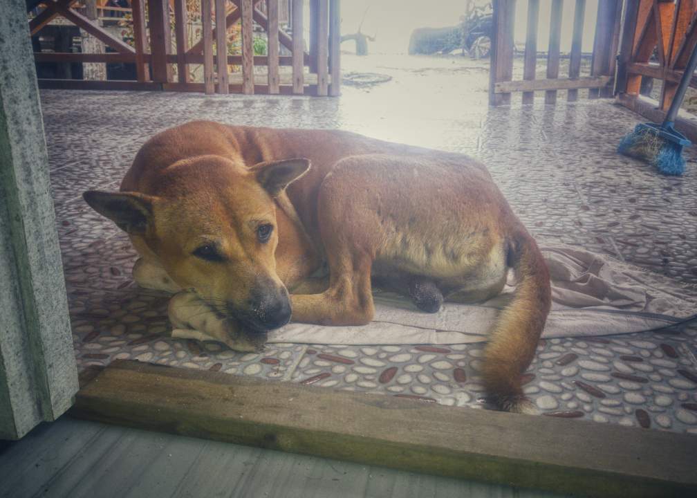 Waaaas? Ich darf hier nicht hinein?