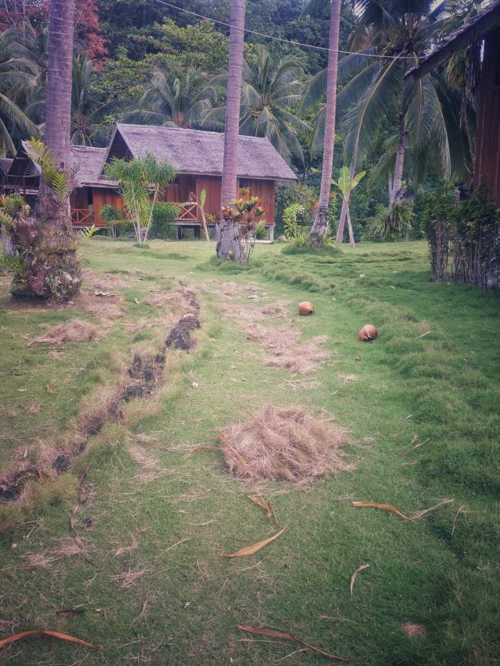 Gefährliche Risikowege