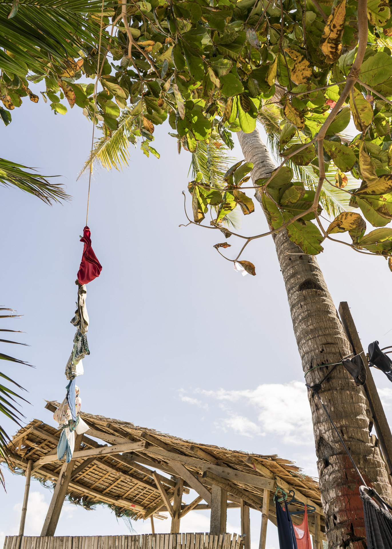 blick aus der Hängematte etwas mehr nach links oben :)