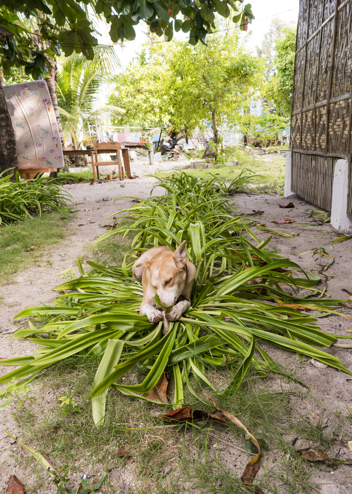 Das Feldbett neben unserem Hut