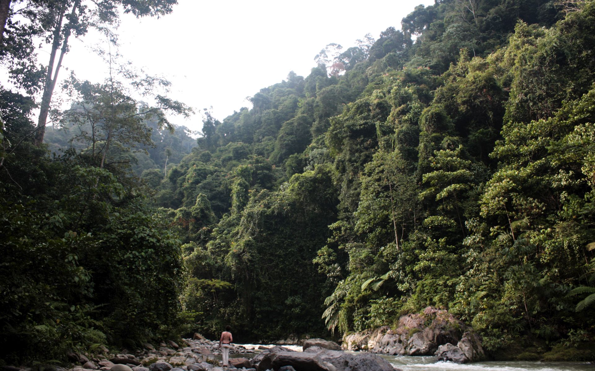 Bukit Lawang
